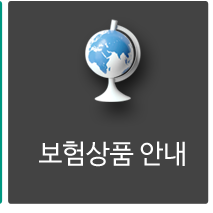  Global Care Agency -DB손해보험